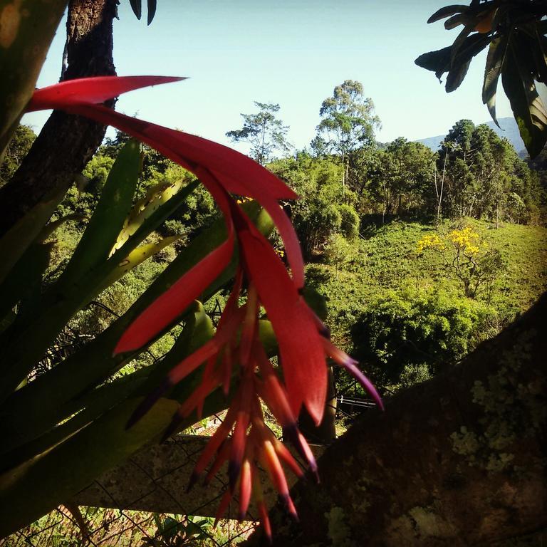 Estalagem Canário Da Terra Visconde De Maua