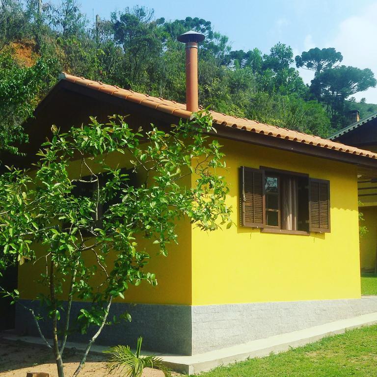 Canário Da Terra