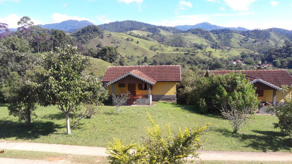 Canário Da Terra *
